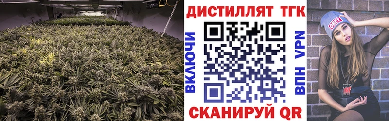 Купить закладки  Зерноград  Дистиллят ТГК вейп 