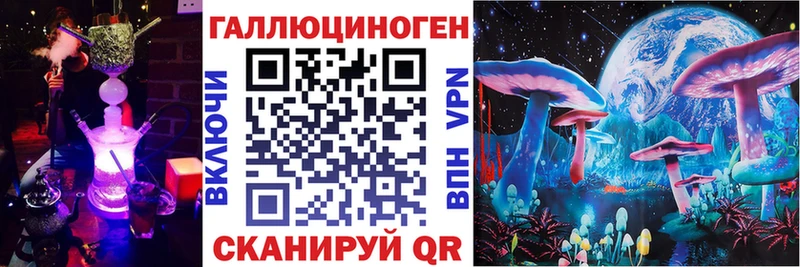 Купить закладки  Зерноград  Псилоцибиновые грибы Psilocybe 